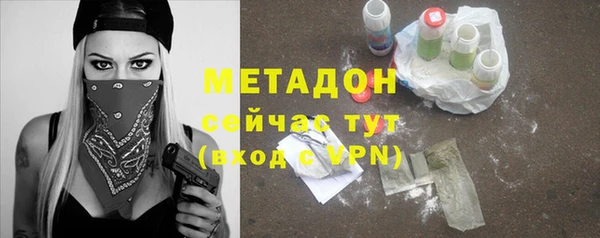 прущие грибы Арсеньев