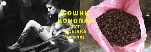 прущие грибы Арсеньев