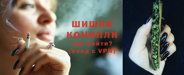 прущие грибы Арсеньев