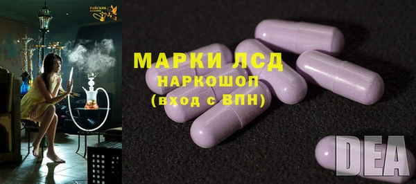 прущие грибы Арсеньев