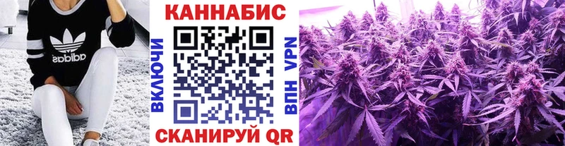Шишки марихуана семена Ужур